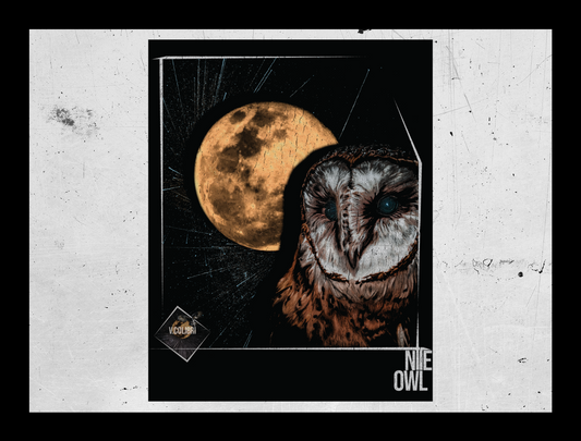 NITE OWL Poster | Nite Owl Print | Matte Vertical Poster