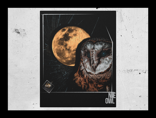 NITE OWL Canvas | Nite Owl Canvas Print | Canvas